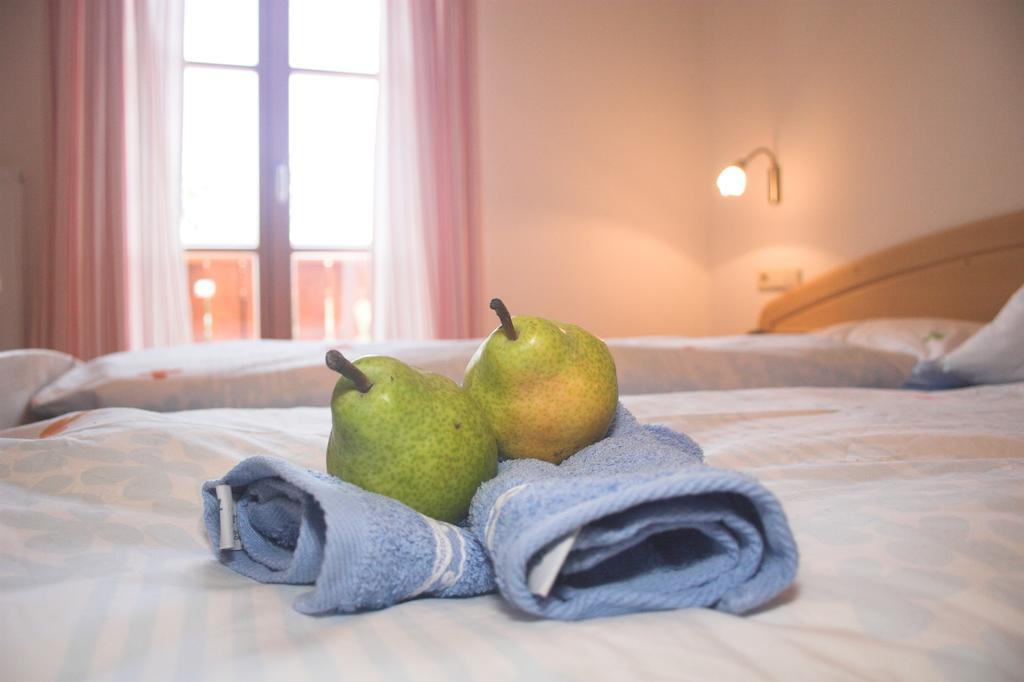 Apartments Dilln Guetl Tiers Rum bild